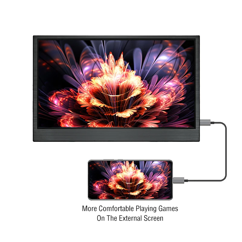 Anmite 15.6-Inch Portable Type-C Monitor (1080P , IPS, Built-In Speaker) for Laptop Xbox PS5 Switch - Image 4