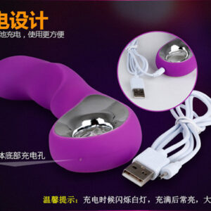 Cross border charging vibrator wave messenger